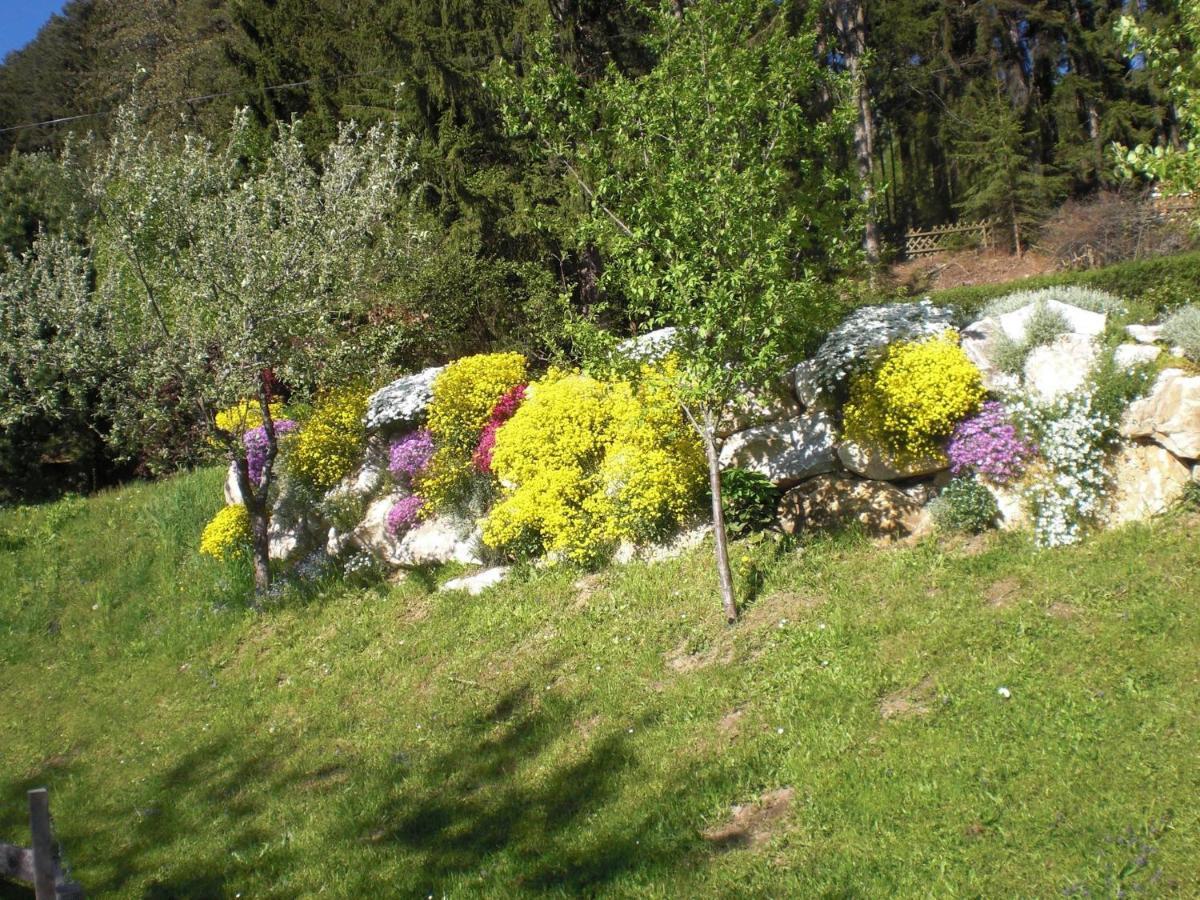 Ferienwohnungen Eggarter Fresach 外观 照片